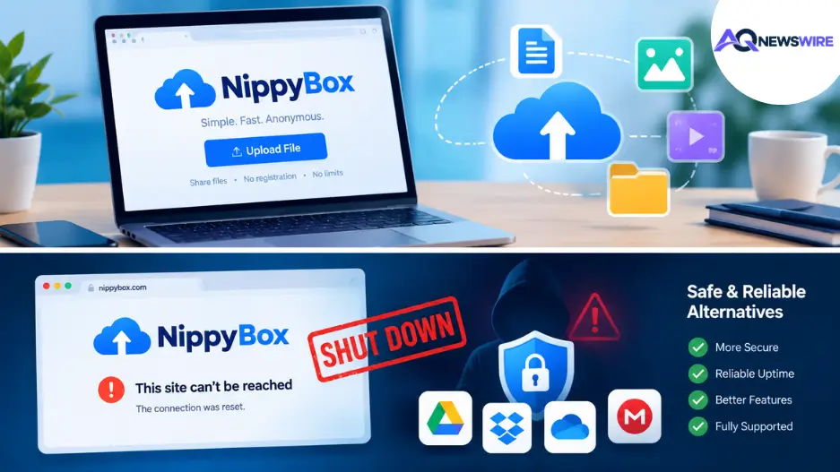What Is NippyBox? | Status, Safety, Features, and Best Alternatives